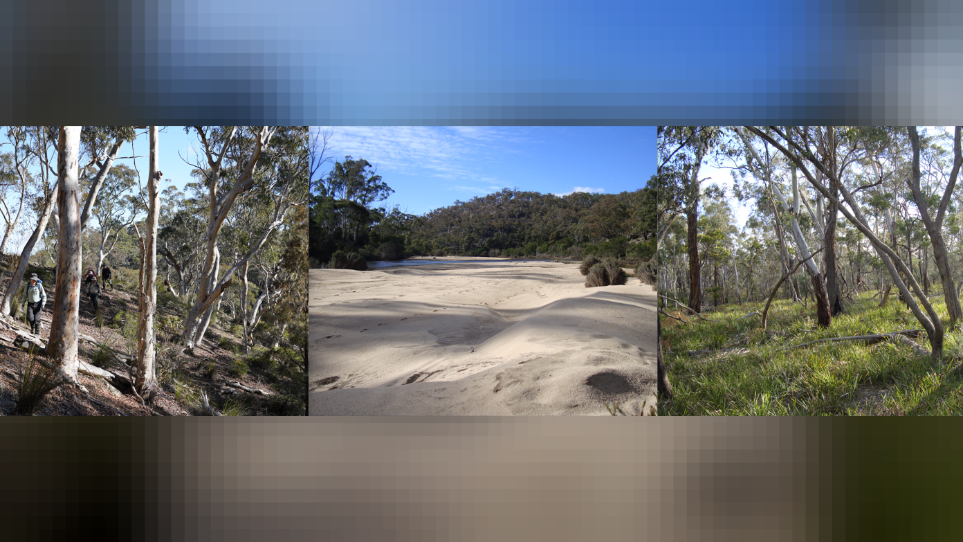 feature image for Nadgigomar Nature Reserve - by the river