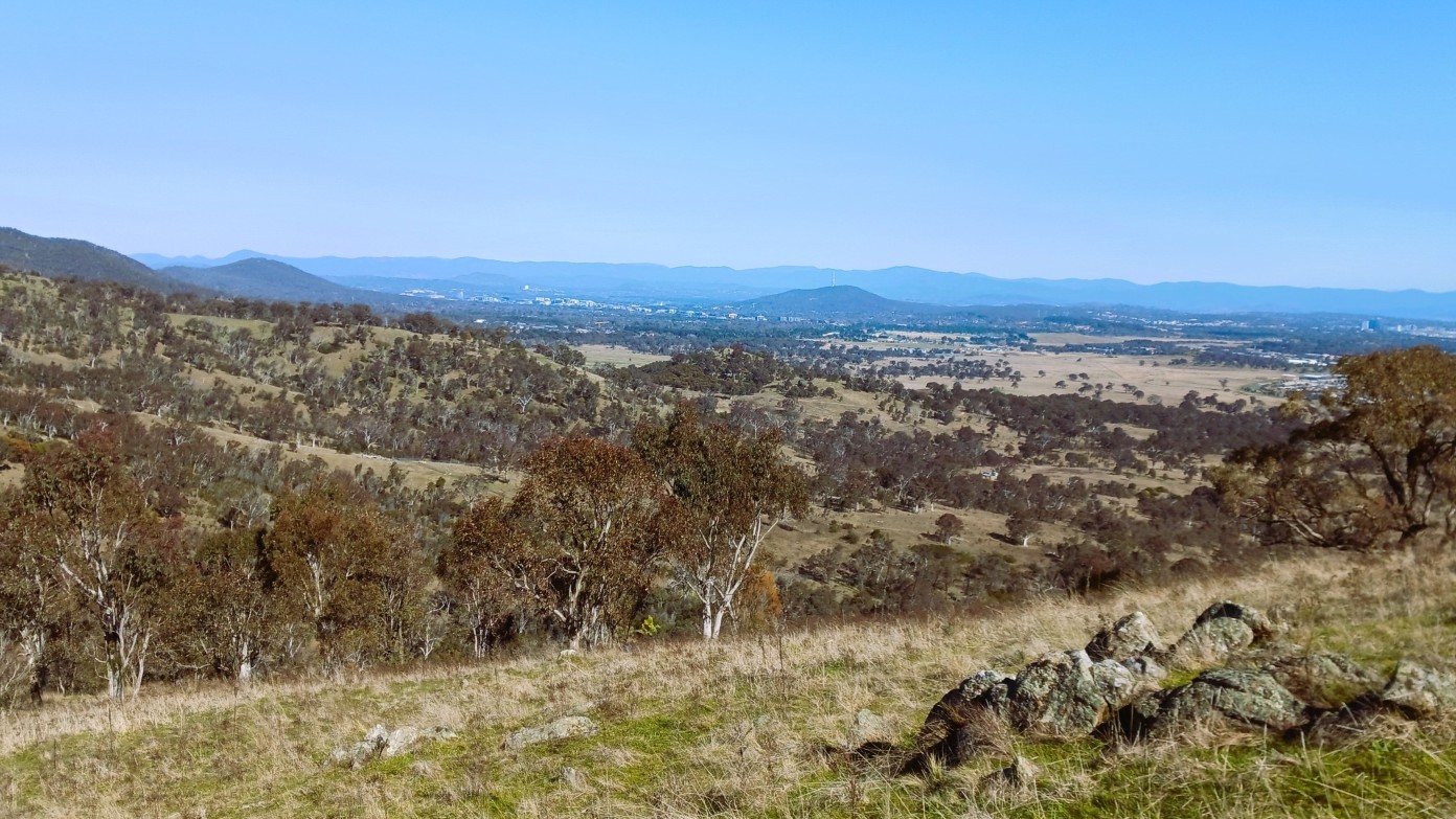 feature image for Goorooyarroo and the sleepy knolls