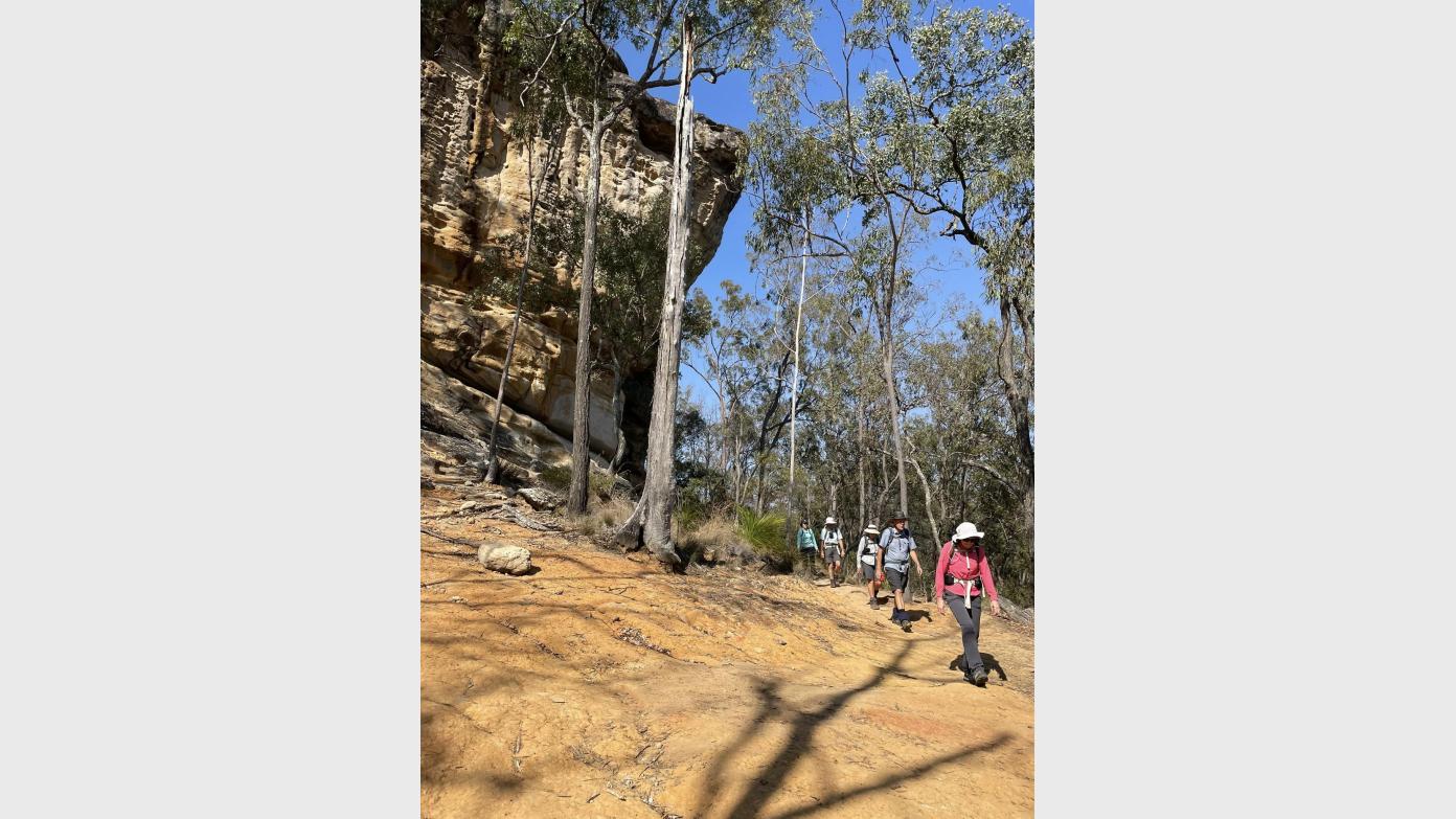 feature image for White Rock and Gunpit Ridge Lookout