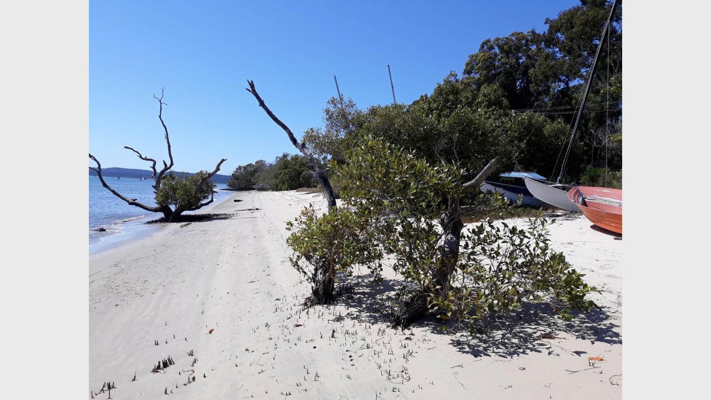 feature image for Bay Islands Excursion