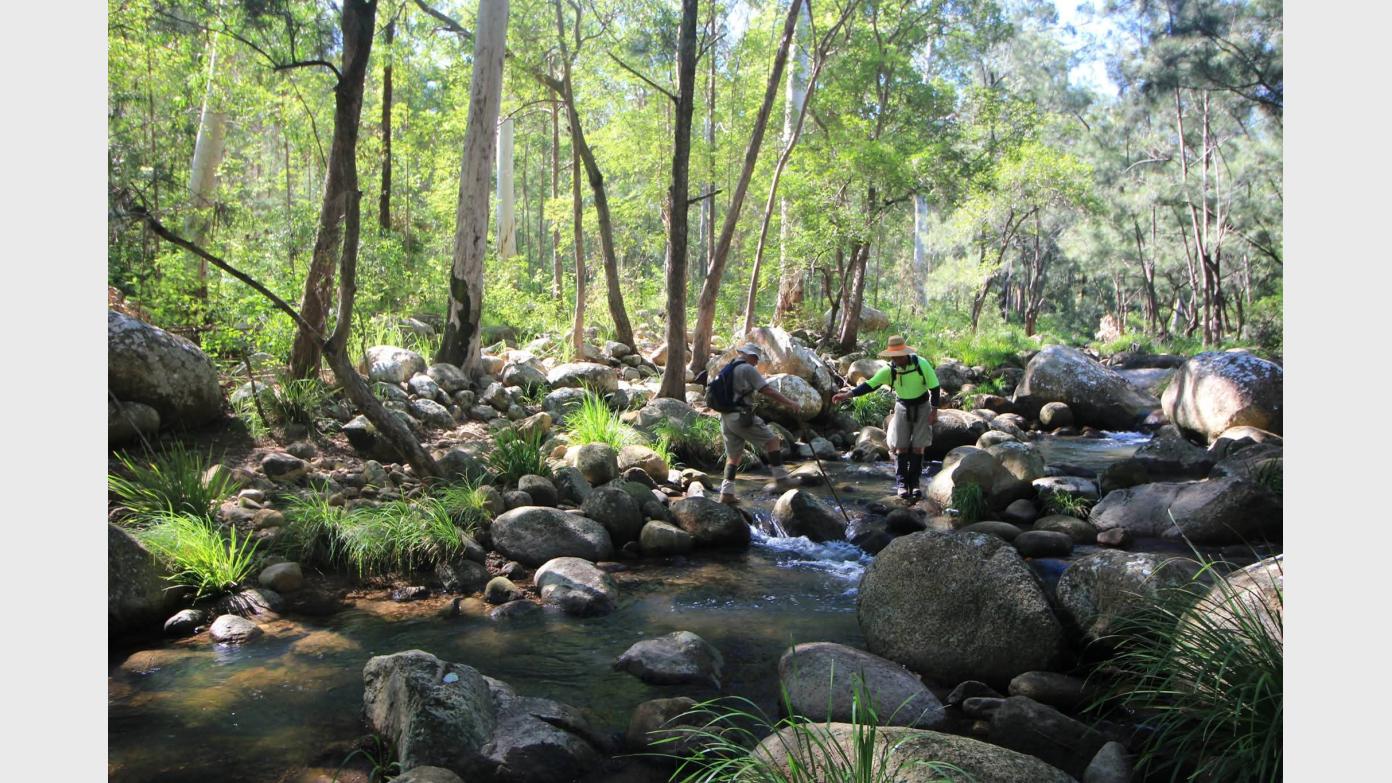 feature image for Logan River, Yellow Pinch