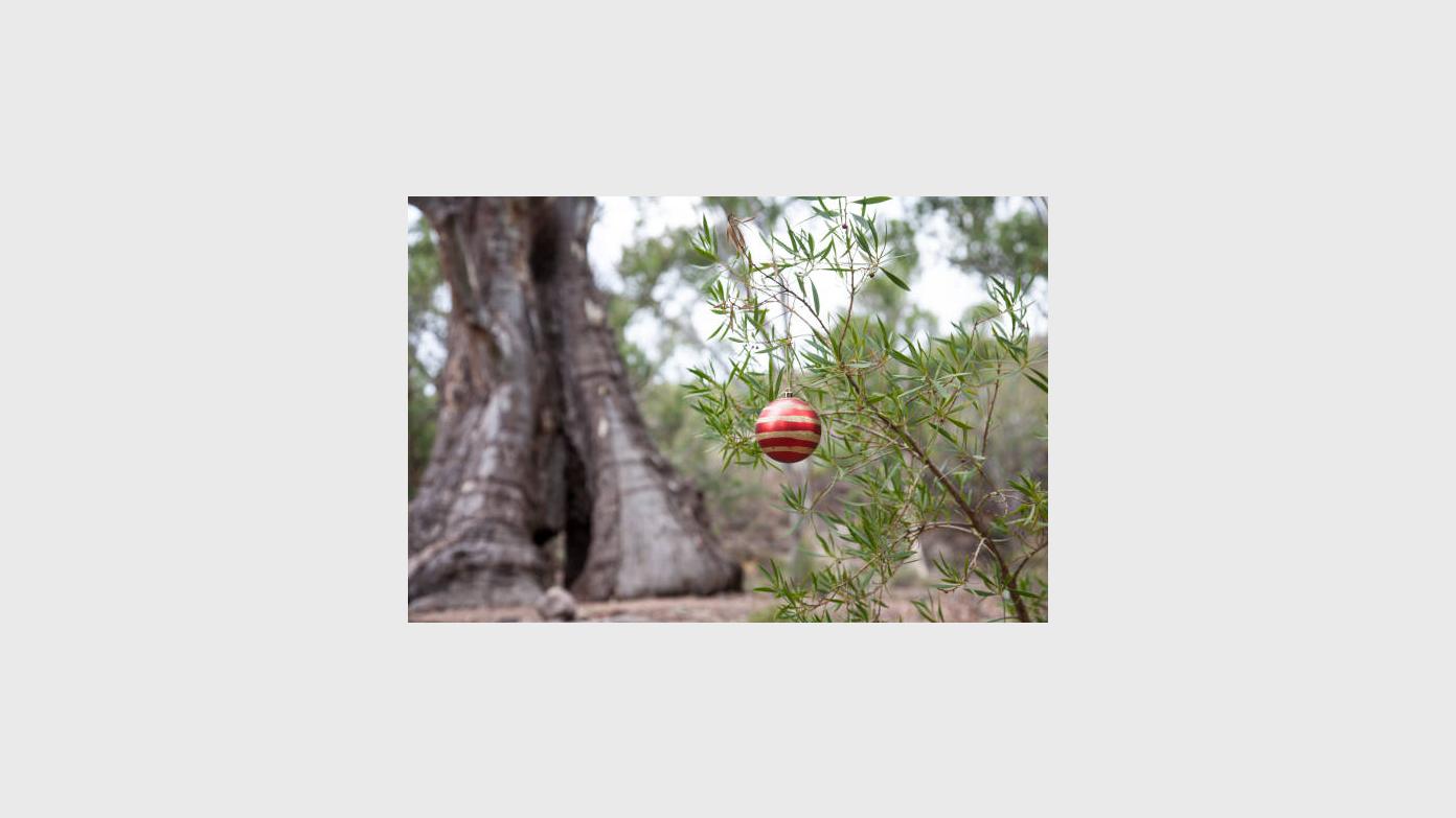feature image for Members Christmas Party and Get Together!
