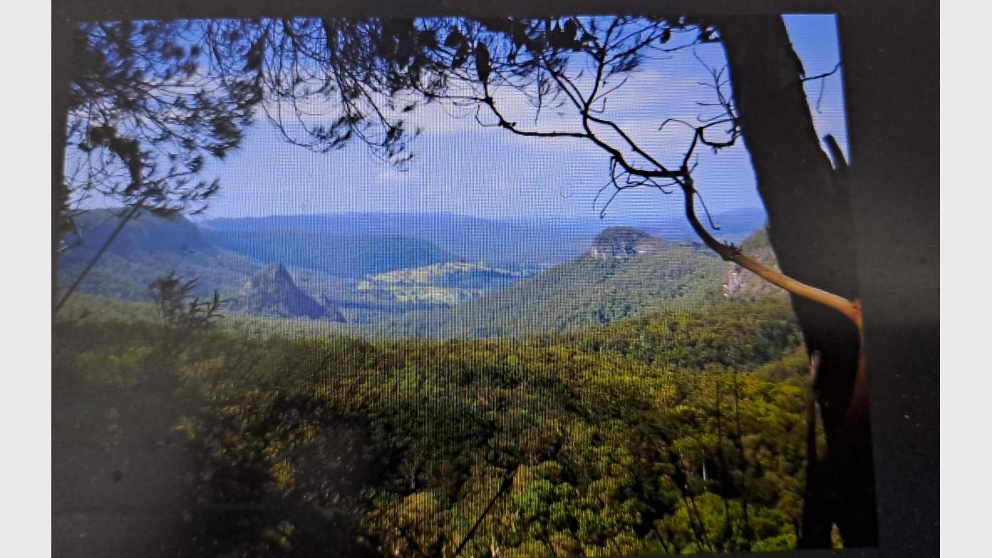 feature image for Lower Bellbird Track/Lower Ballanjui Falls