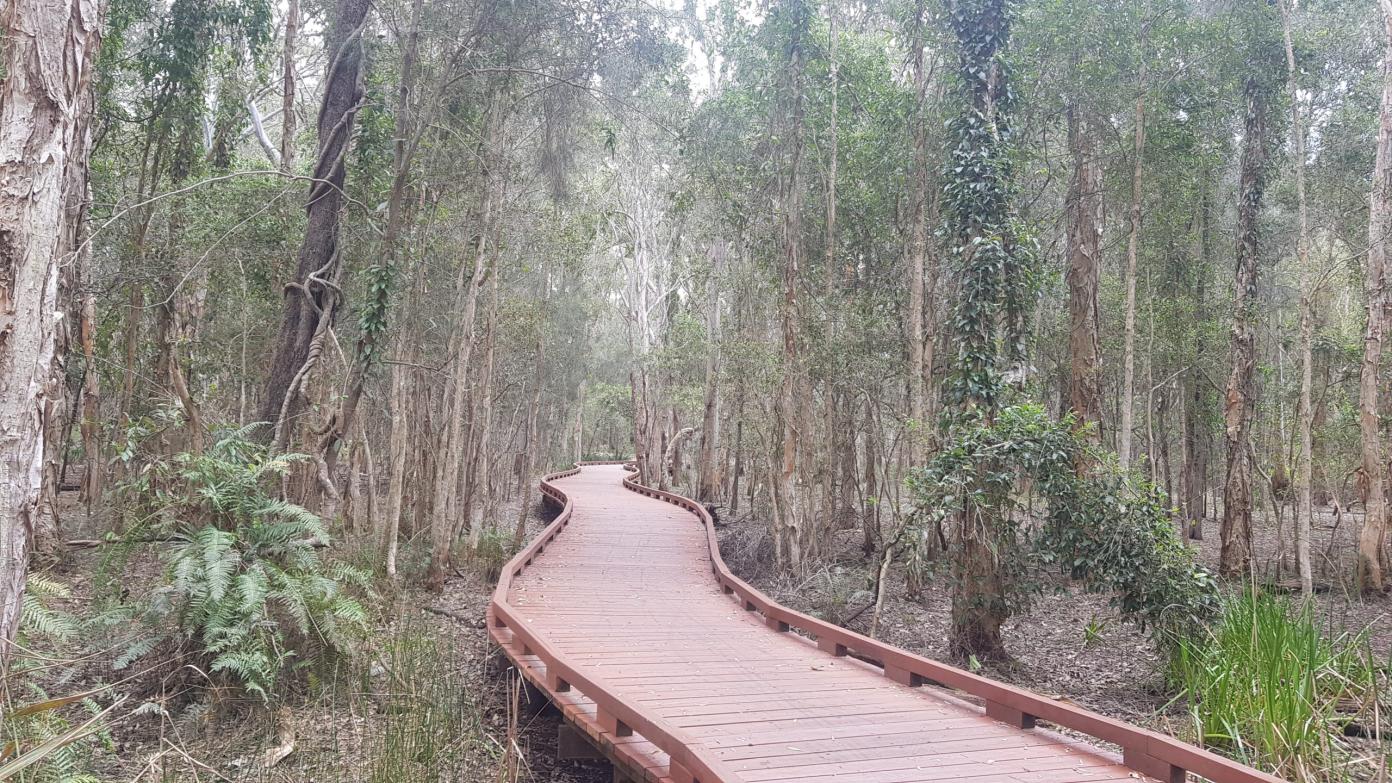 feature image for Coombabah Lakelands Conservation Area