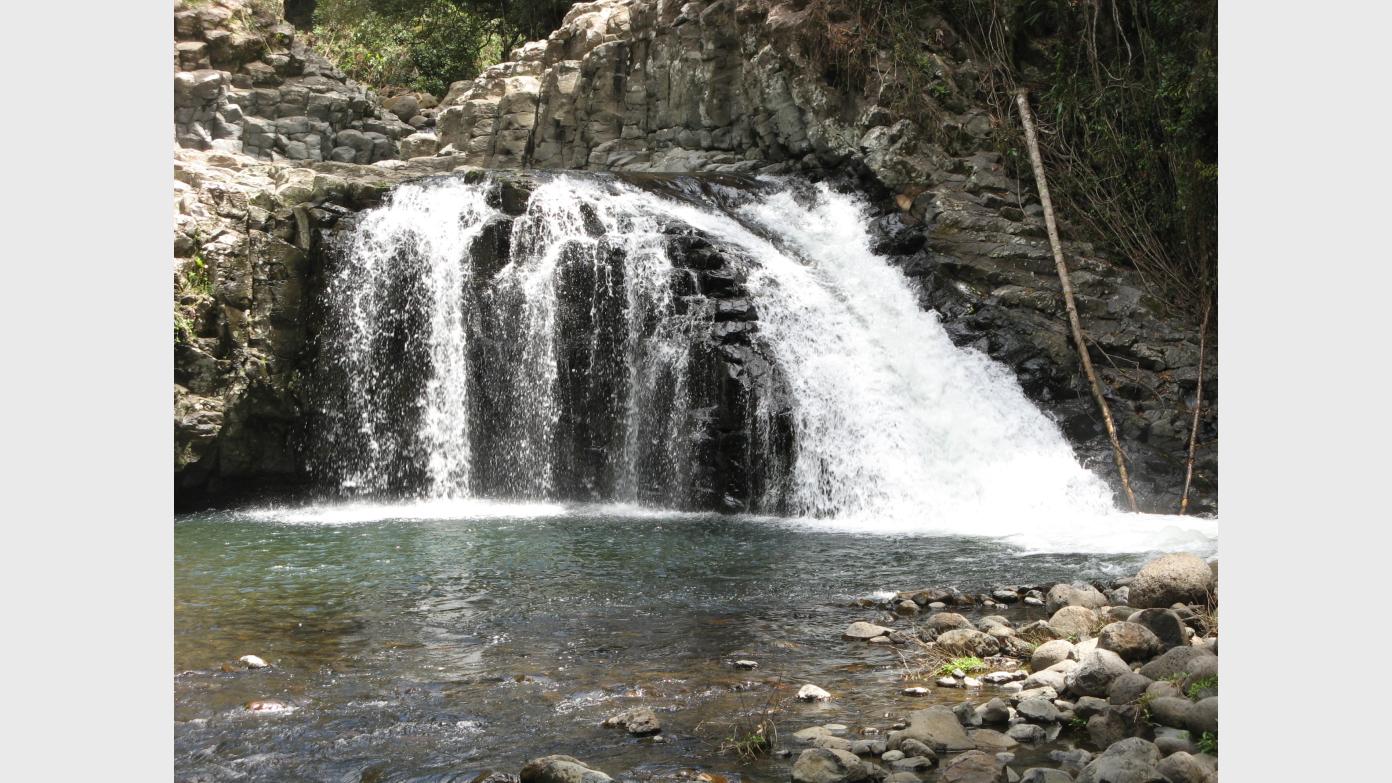 feature image for Stairway Falls via Bullant Spur, Lamington NP