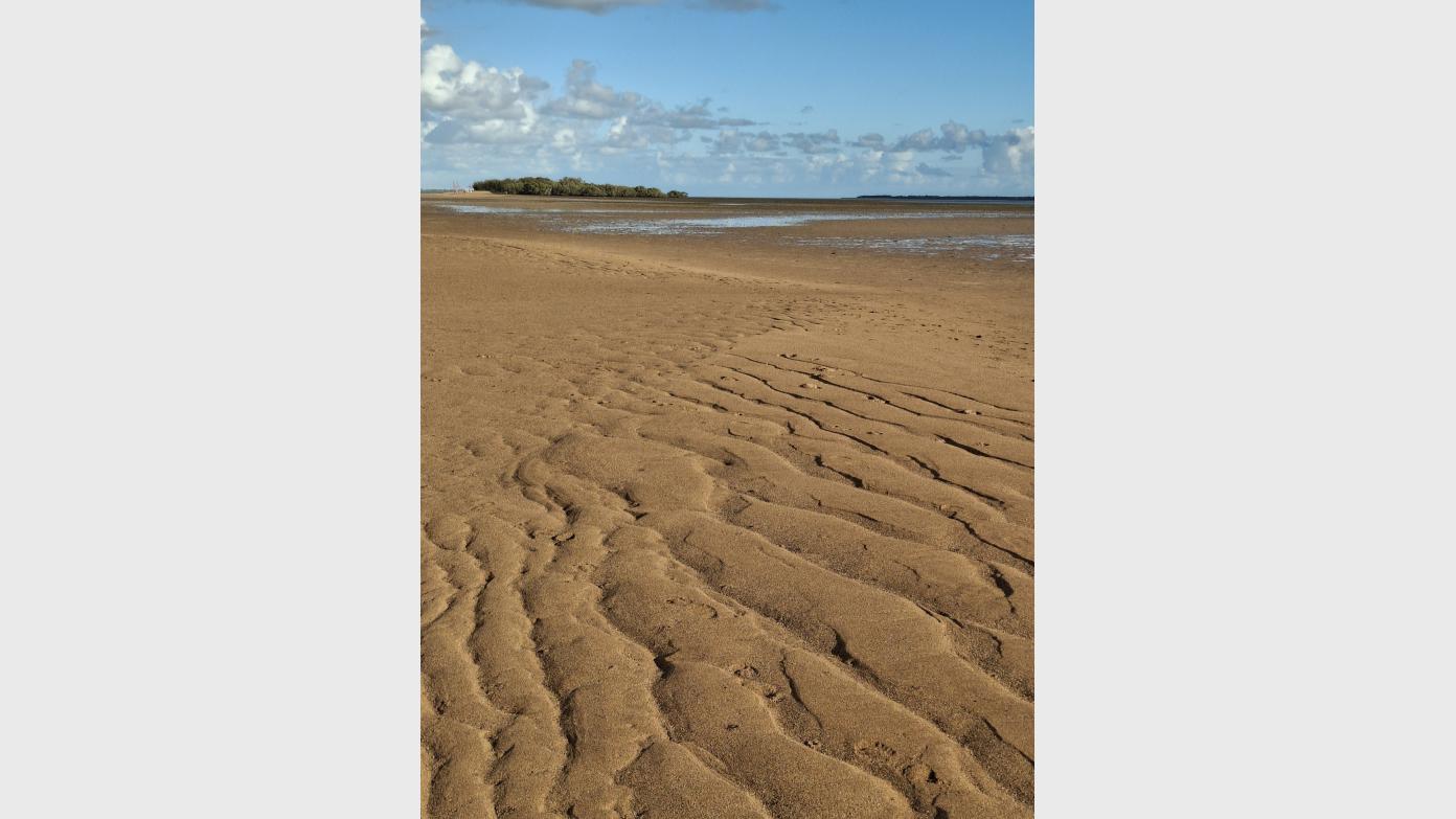 feature image for King Island Walk and Scribbly Gum Circuit Walk