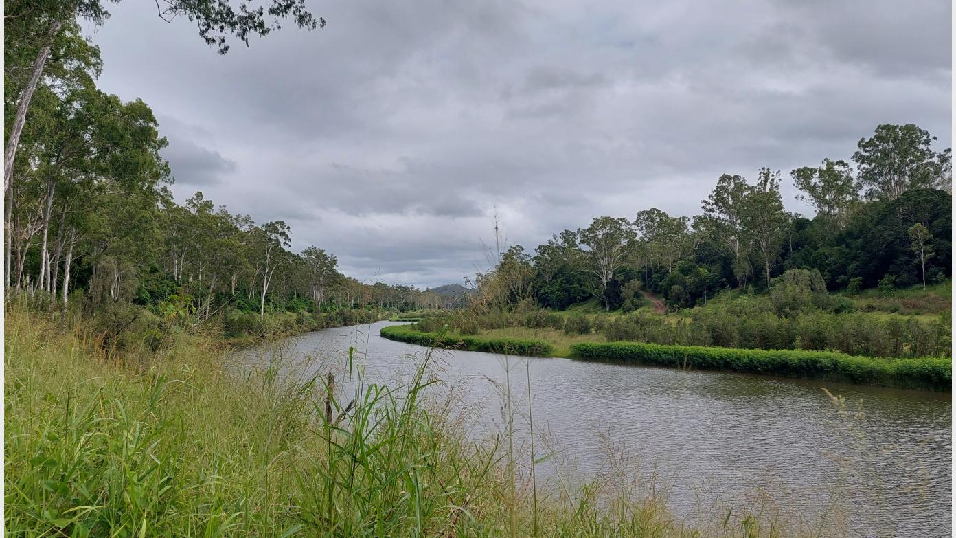 feature image for Kholo Enviroplan Reserve Morning Walk