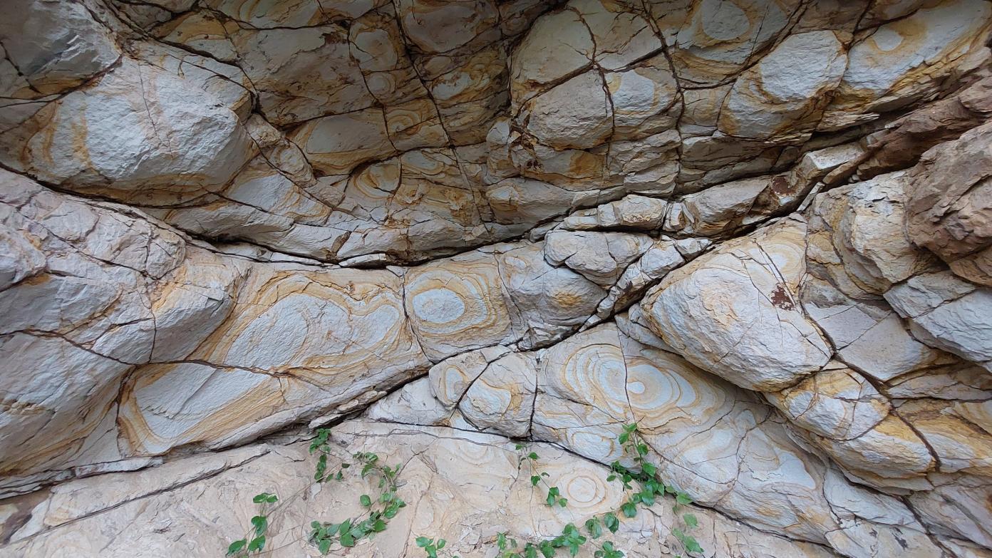 feature image for Mt Perry Conservation Park, Ripley.