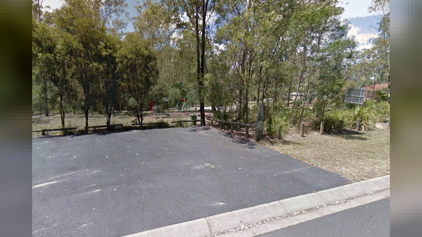 feature image for Wednesday morning walk - Pine Mountain