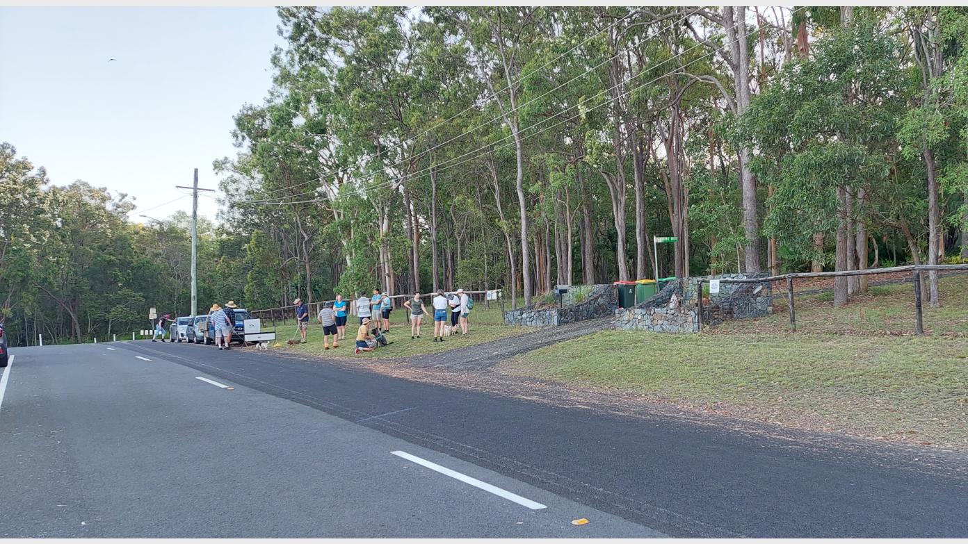 feature image for Wednesday morning walk - Brassall H&L