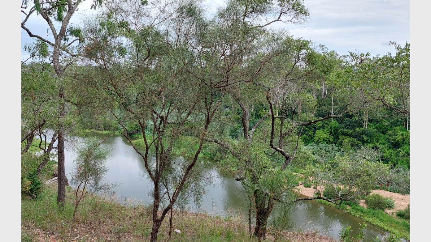 feature image for Marstaeller Rd Reserve, Mt Crosby, Morning Walk