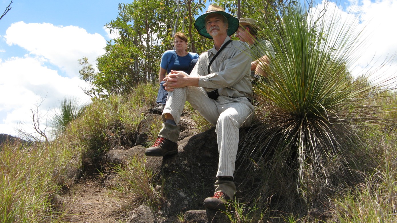 feature image for Castle Crag & Morans Lkts, Lamington NP