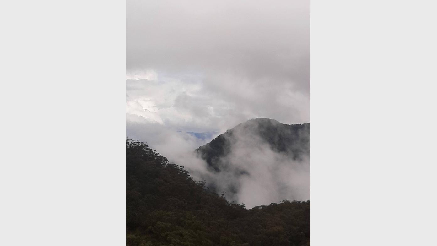 feature image for Numinbah Valley to Binna Burra