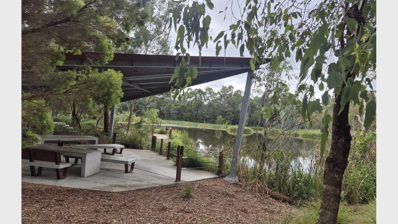 feature image for Glider Forest Reserve, Warril Parklands, Larapinta.