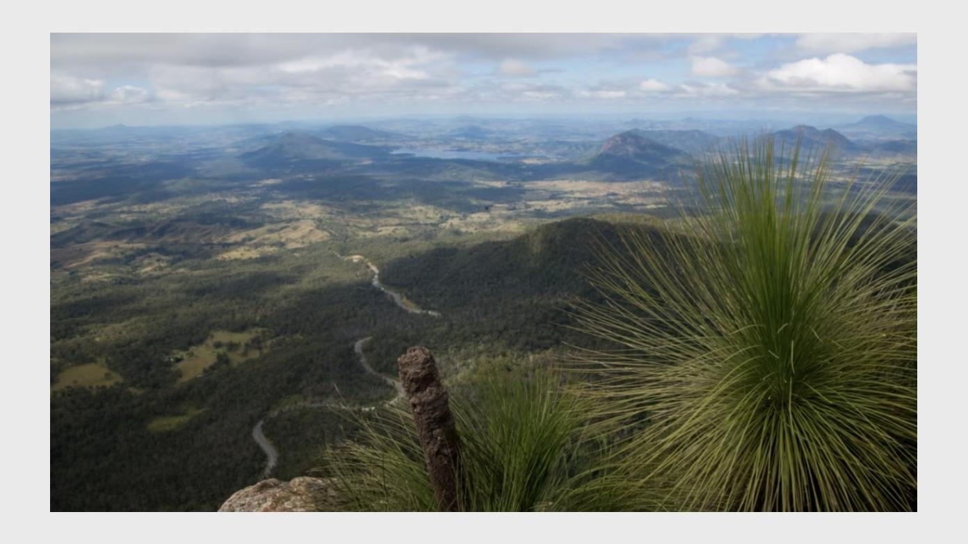 feature image for Mt. Mitchell