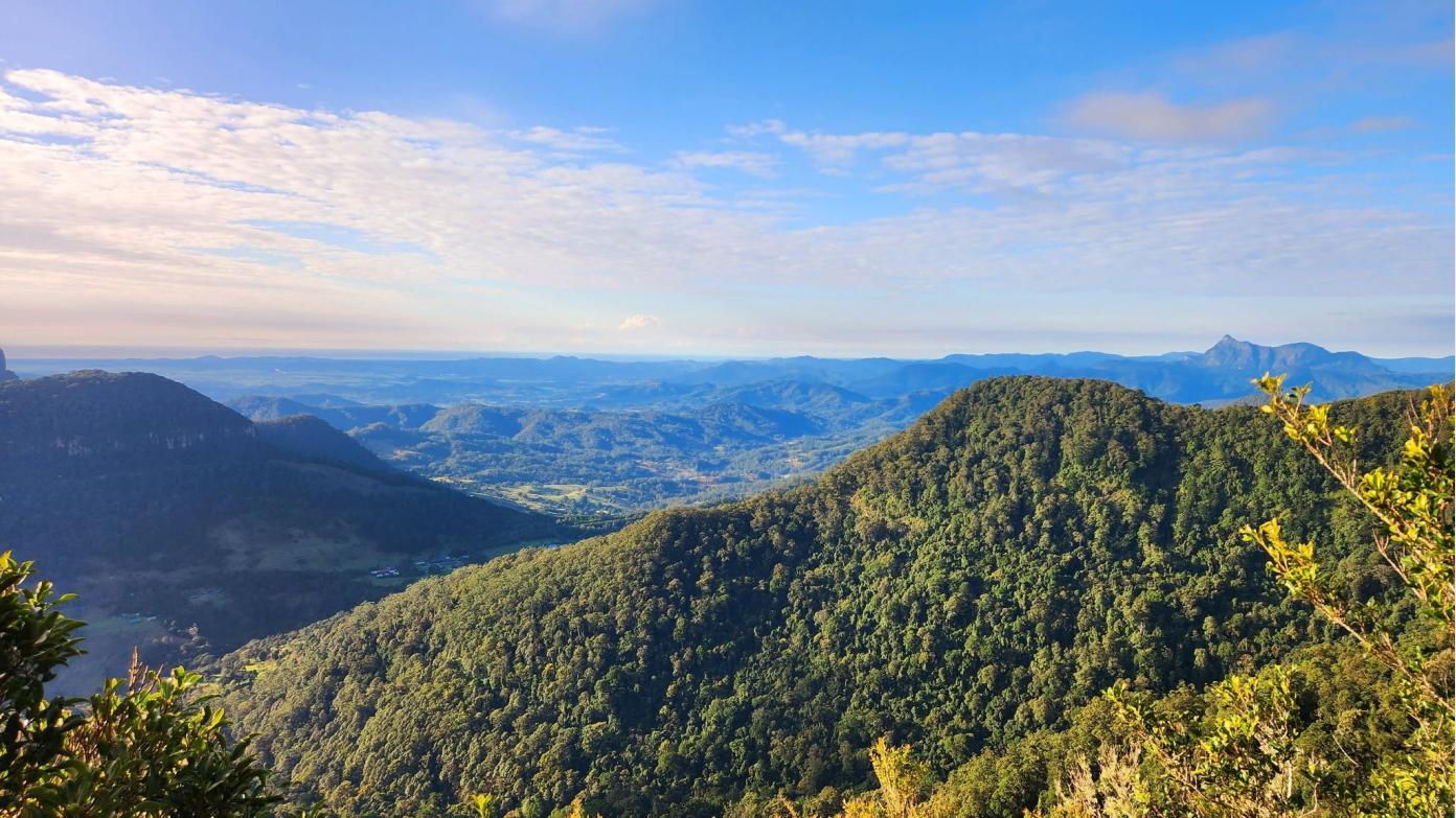 feature image for Araucaria Lookout Trail