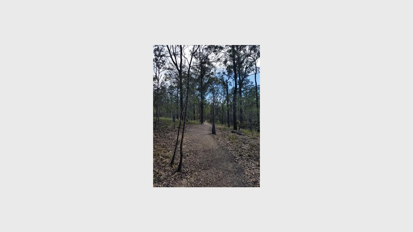 feature image for Toohey Forest to Mount Gravatt 9km return S22