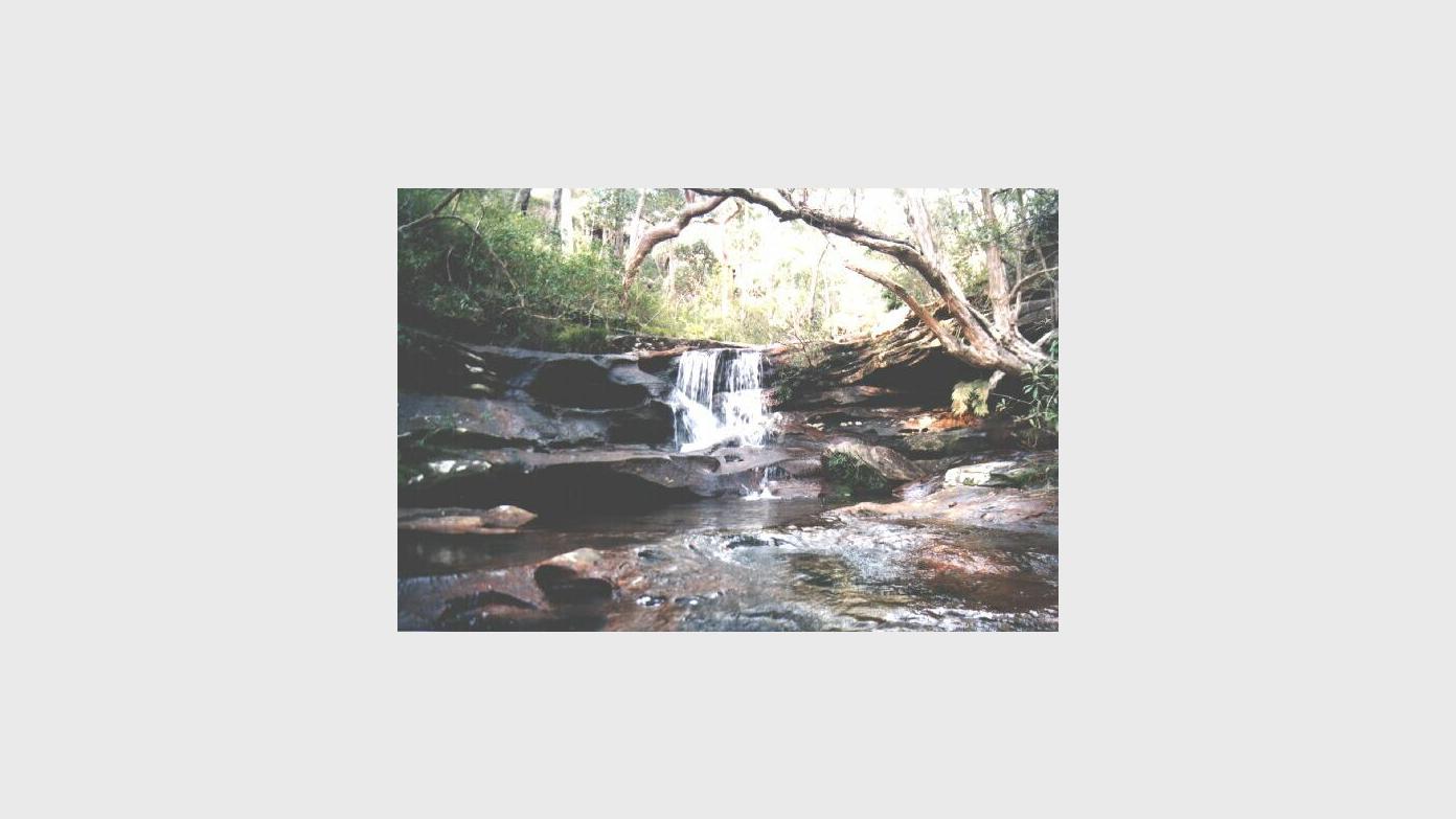 feature image for Wallumarra Track, Palona Cave and Wises Track - Royal National Park