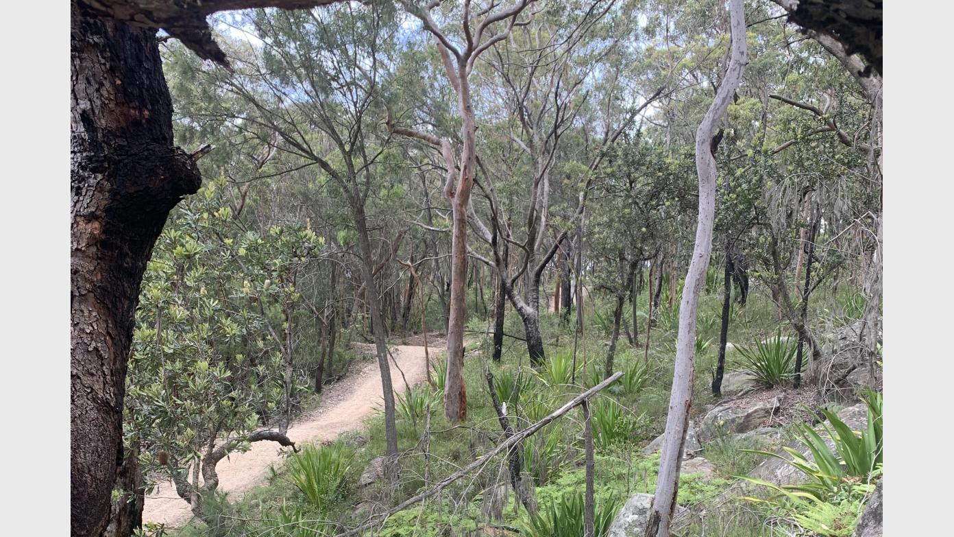 feature image for Waterfall to Helensburgh via the Garrawarra State Conservation Area
