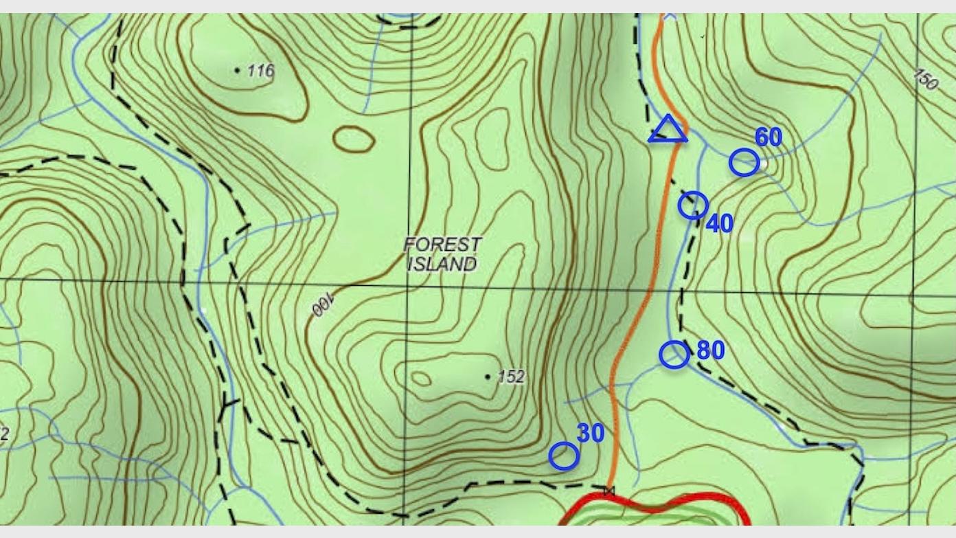 feature image for Navigating in the Bush 101