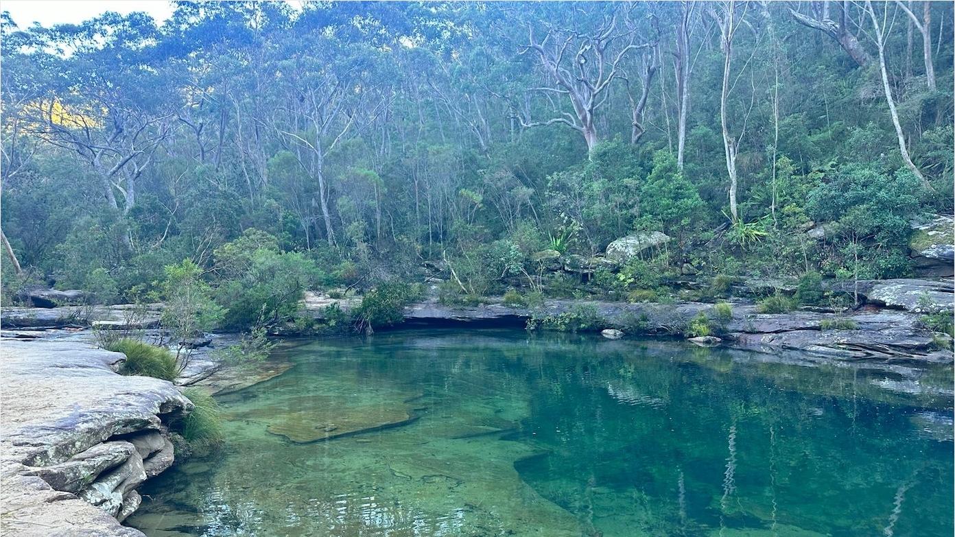 feature image for RNP: Waterfall to Heathcote via Karloo Pool, the easy way.