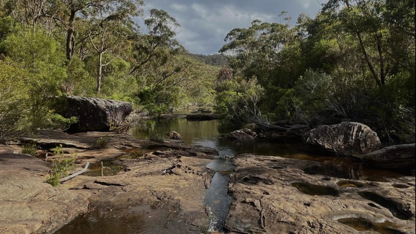 feature image for Heathcote National Park: early bushwalker camp sites