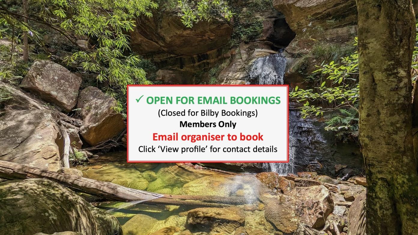 feature image for BLUE MOUNTAINS BUSHWALK (Grade 4)