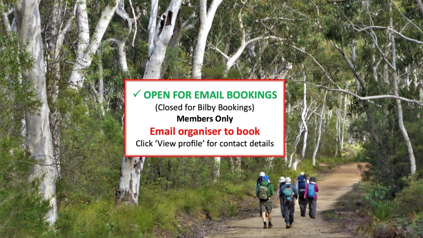 feature image for BLUE MOUNTAINS BUSHWALK (Grade 4)
