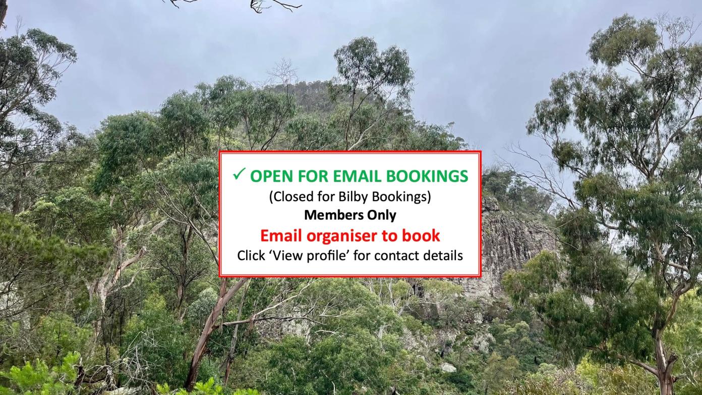 feature image for NATTAI NATIONAL PARK BUSHWALK (Grade 4)