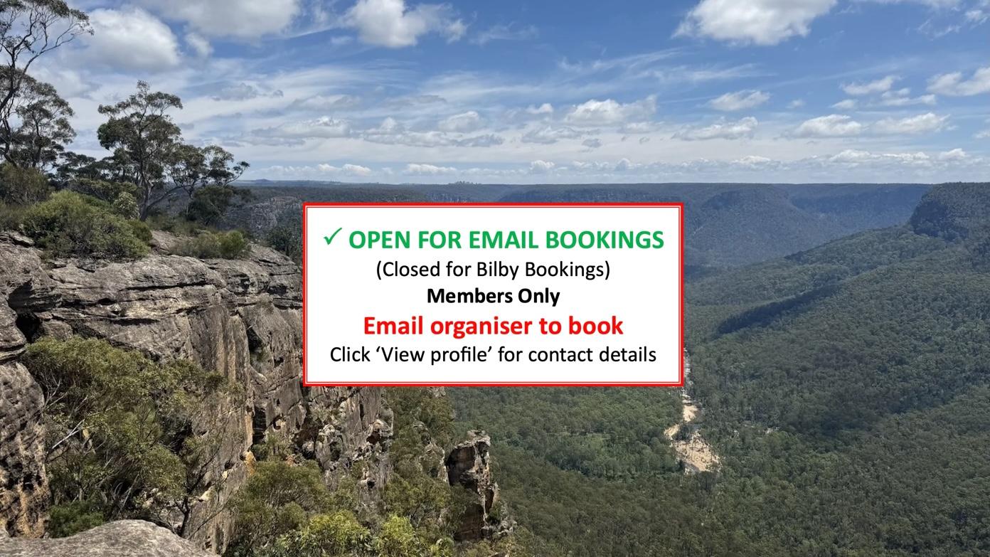 feature image for NATTAI NATIONAL PARK BUSHWALK (Grade 3)