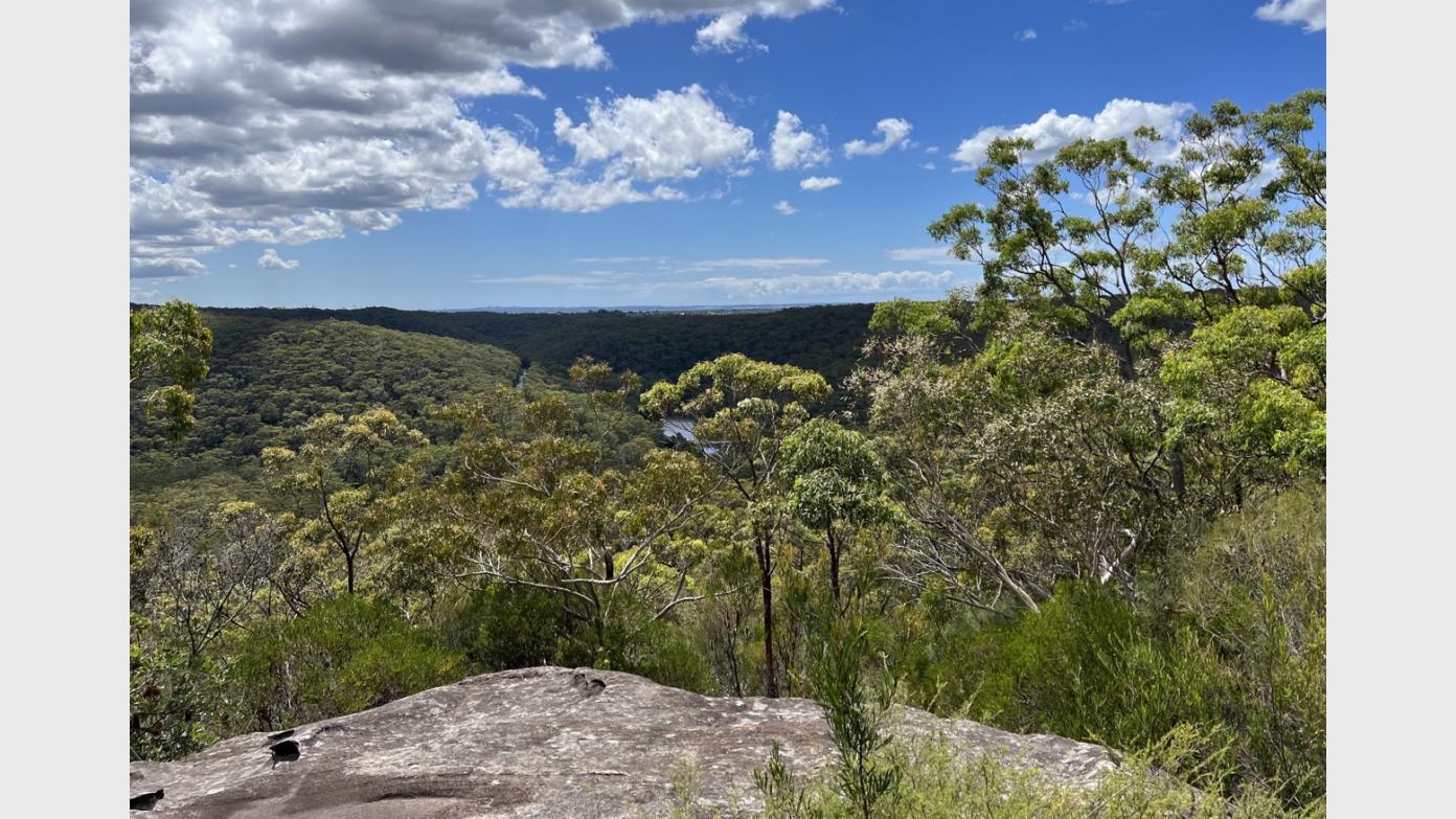 feature image for New walk: ROYAL NP (Grade 3) - Honeymoon Track & Robertson Knoll