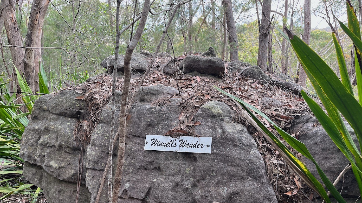 feature image for WINNELLS  WANDER (Grade 3/ Grade 4) - VIA BIG  ENGADINE  LAGOON