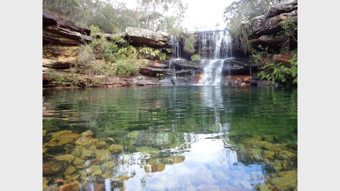 feature image for ROYAL NP - KANGAROO CREEK, WATERFALL (Grade 3)