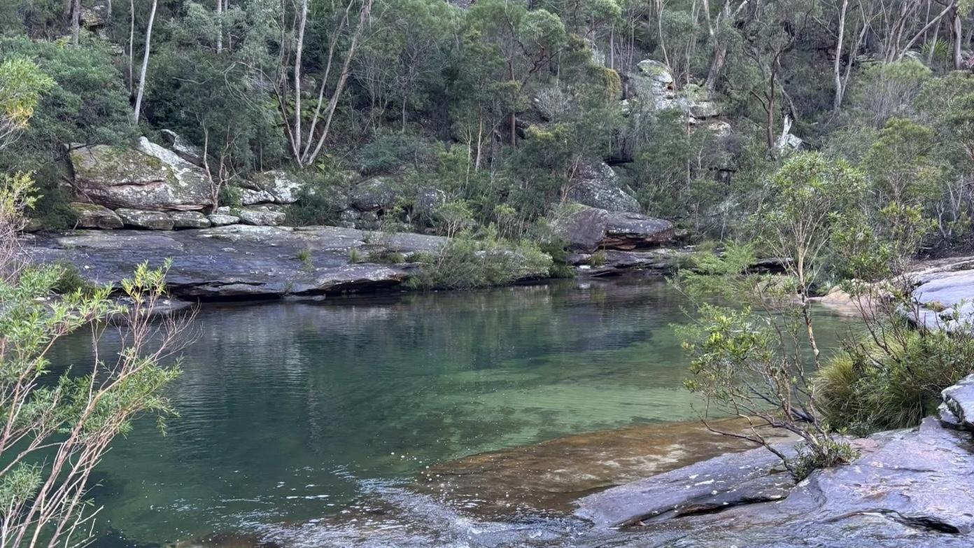 feature image for ROYAL NP: Heathcote to Bundeena (Grade 4)