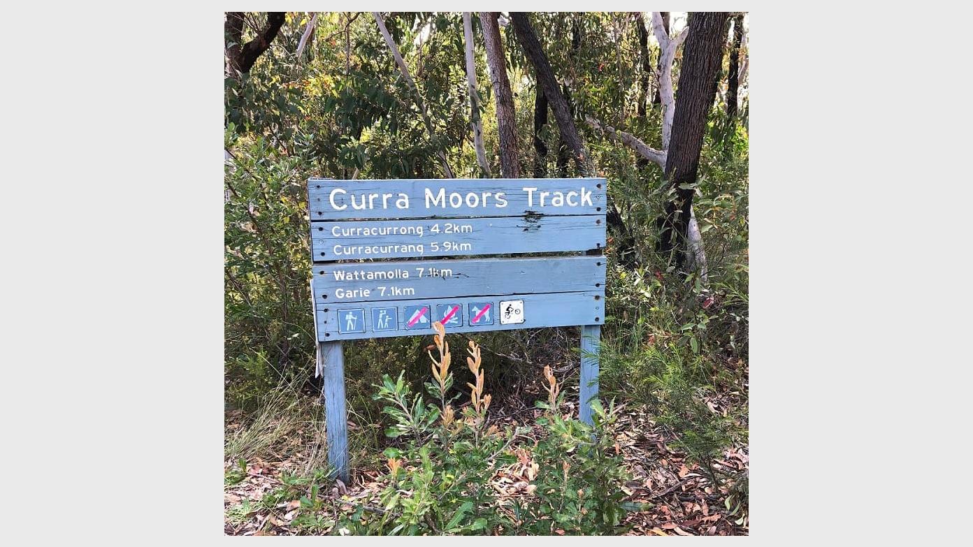 feature image for ROYAL NP - CURRA MOORS TRACK (Grade 3)
