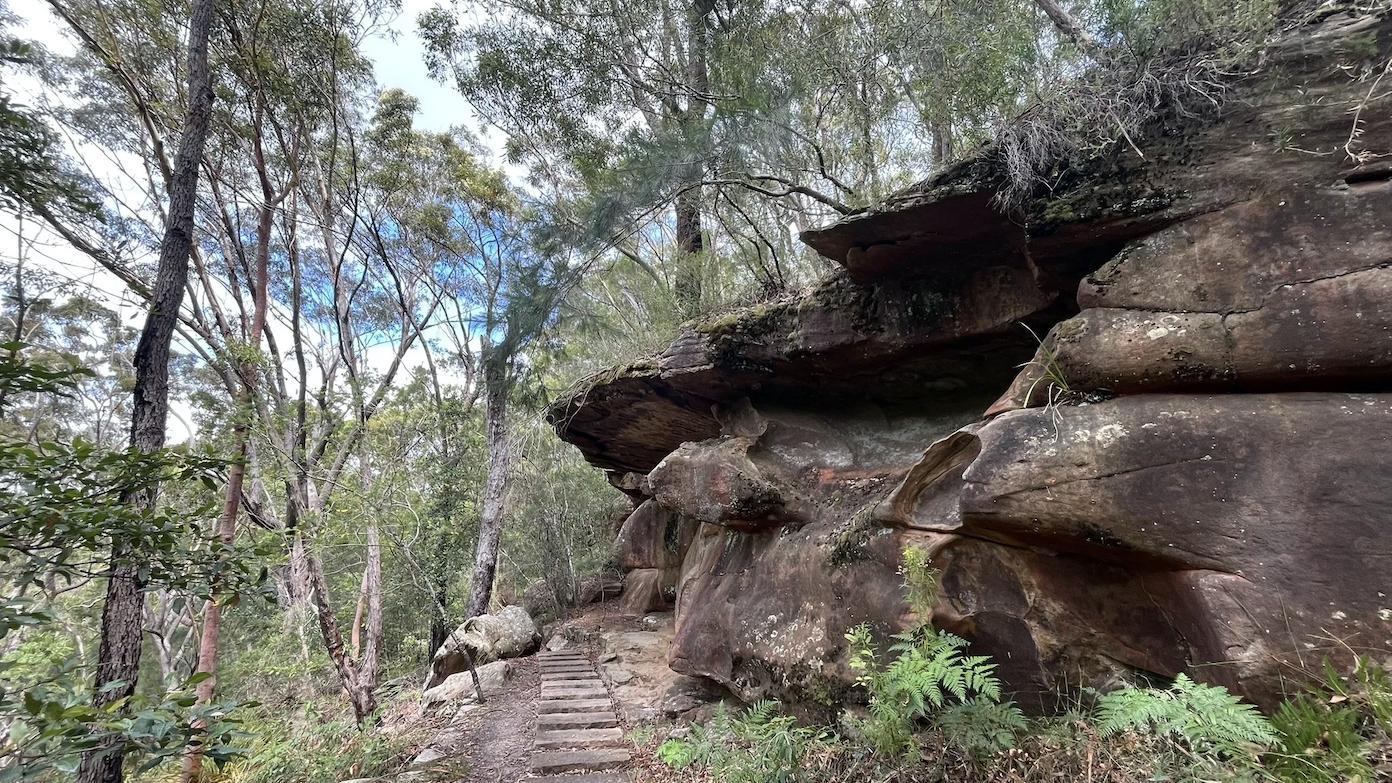 feature image for ROYAL NP (Grade 3) - Grays Point to Audley Loop