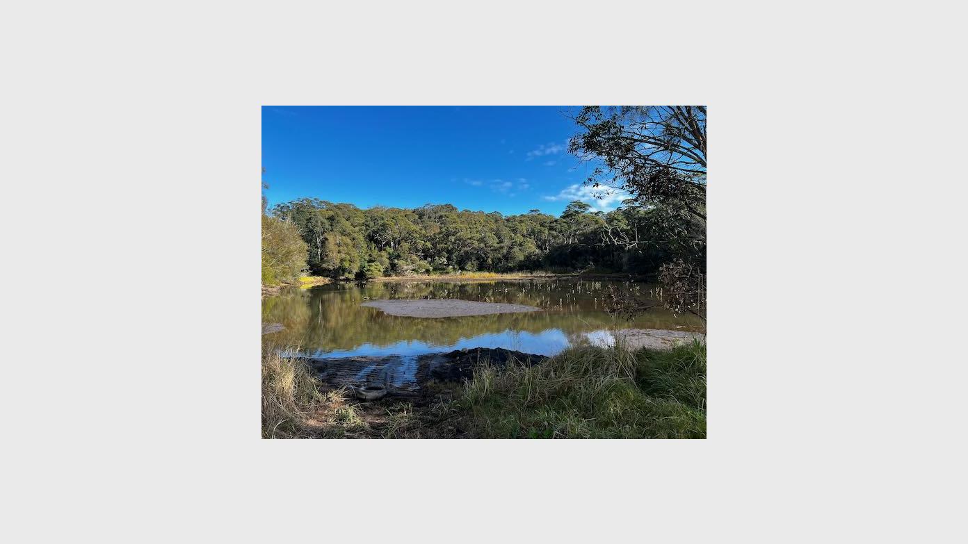 feature image for GEORGES RIVER NP (Grade 3) - Yeramba Lagoon Bushland