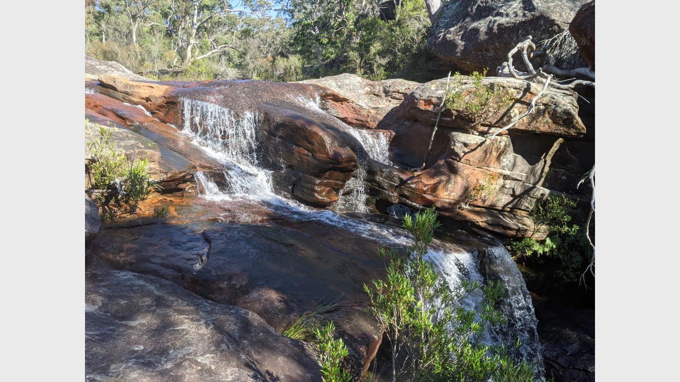 feature image for ROYAL NP (Grade 4) - SW Arm Creek plus two Waterfalls