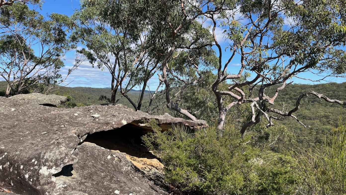 feature image for HEATHCOTE NP (Grade 3/4) - Scouters Mountain Loop