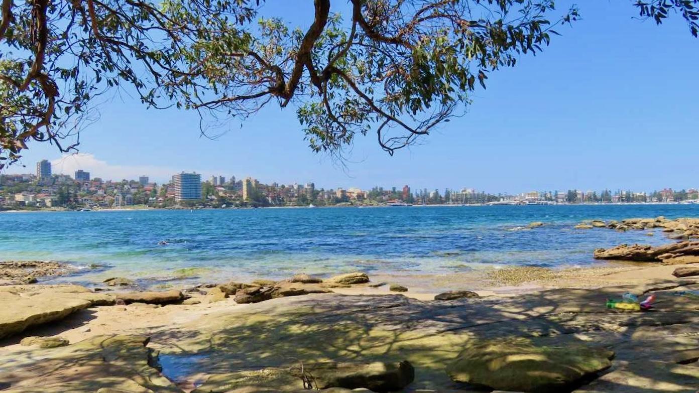 feature image for SPIT TO MANLY (Grade 3) - Walk and a Swim