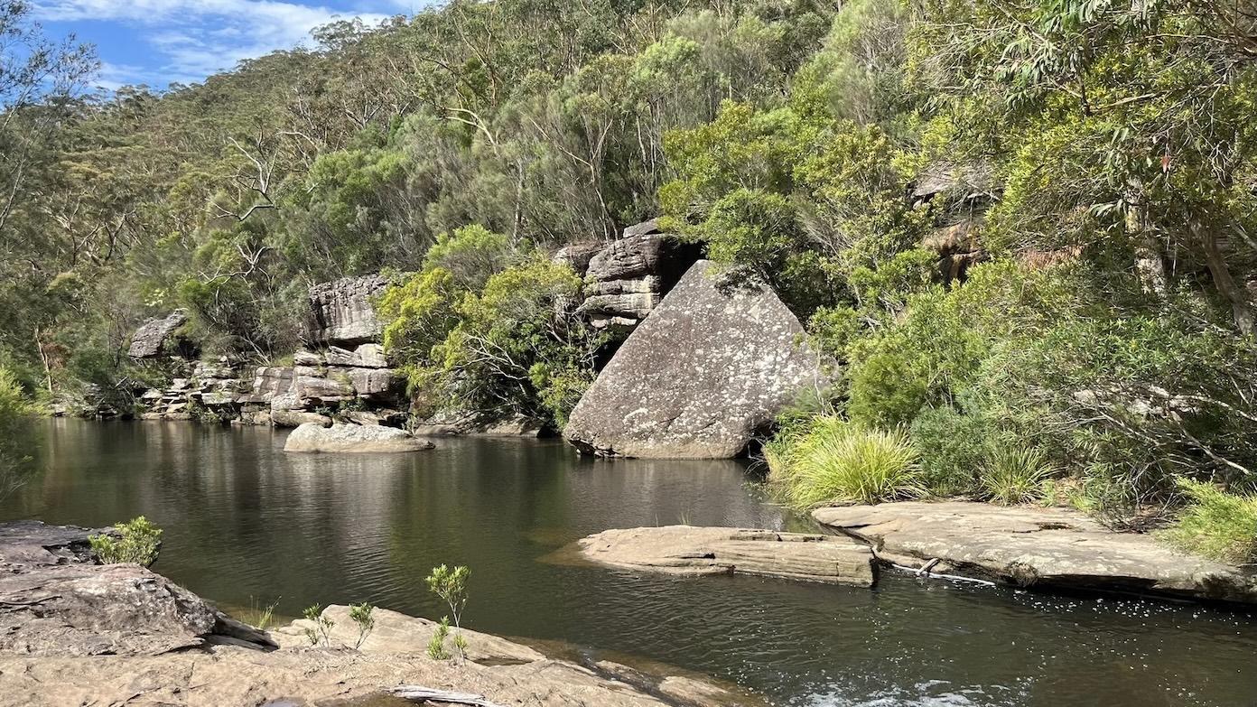 feature image for New date: HEATHCOTE NP (Grade 3) - Scouters Ridge Loop - Morning walk