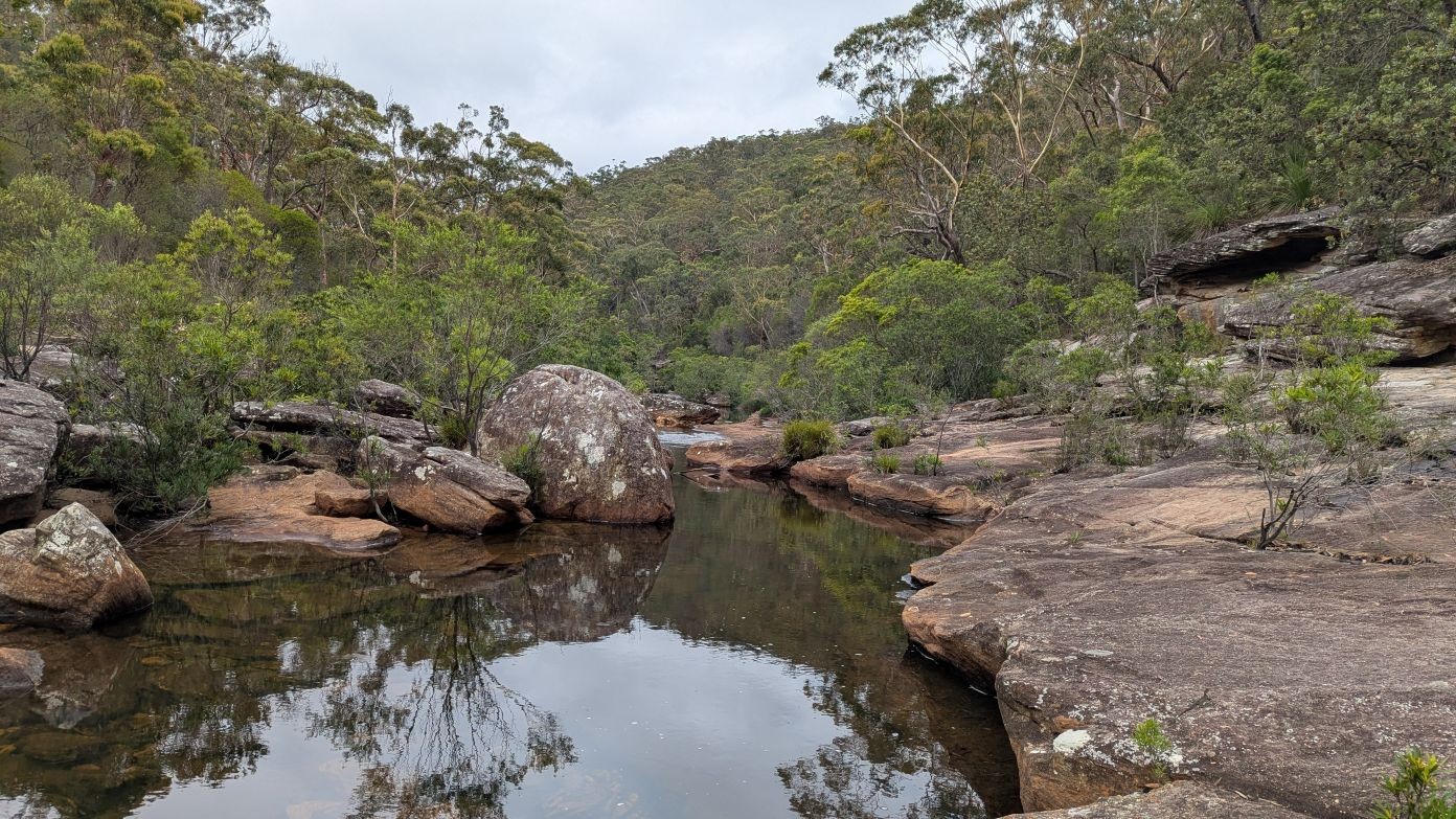 feature image for ROYAL NP (Grade 3):  AUDLEY - KANGAROO CREEK & ROBERTSON KNOLL - Morning Walk