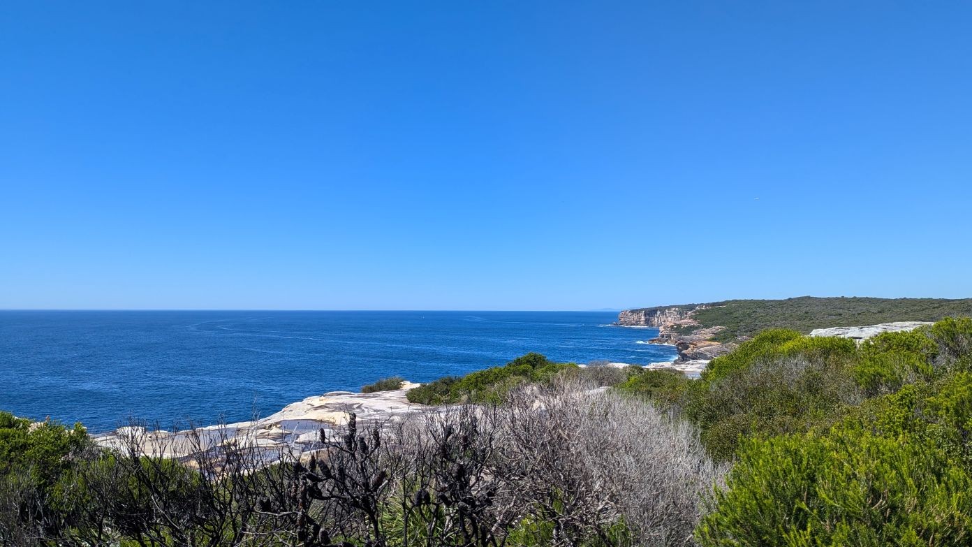 feature image for ROYAL NP (Grade 3): BUNDEENA - JIBBON COASTAL LOOP - Morning Walk