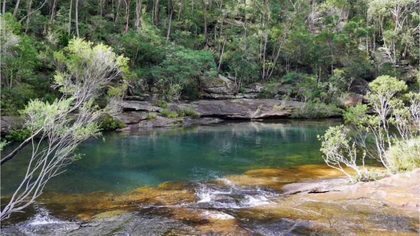 feature image for ROYAL NP (Grade 3): KARLOO POOL - Walk & Swim