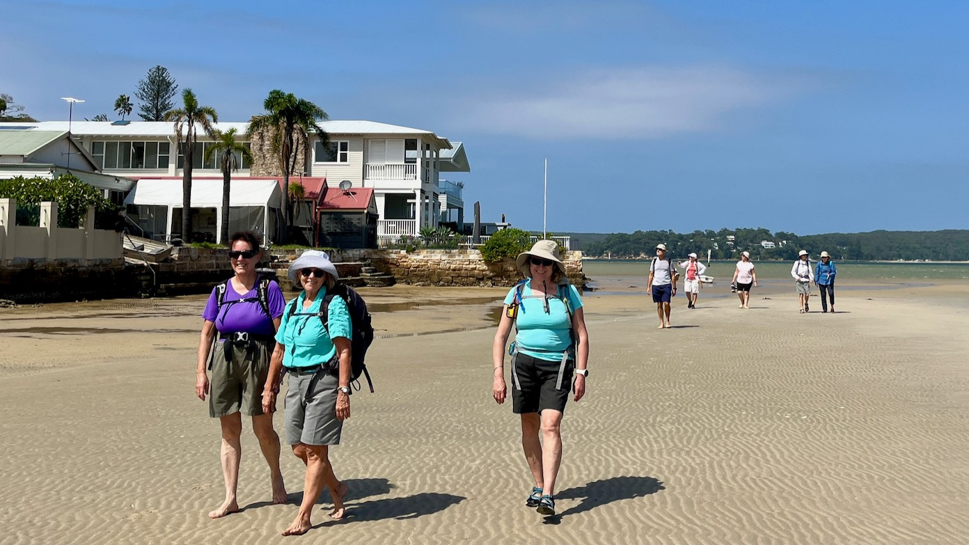 feature image for CRONULLA PENINSULA WALK (Grade 2)