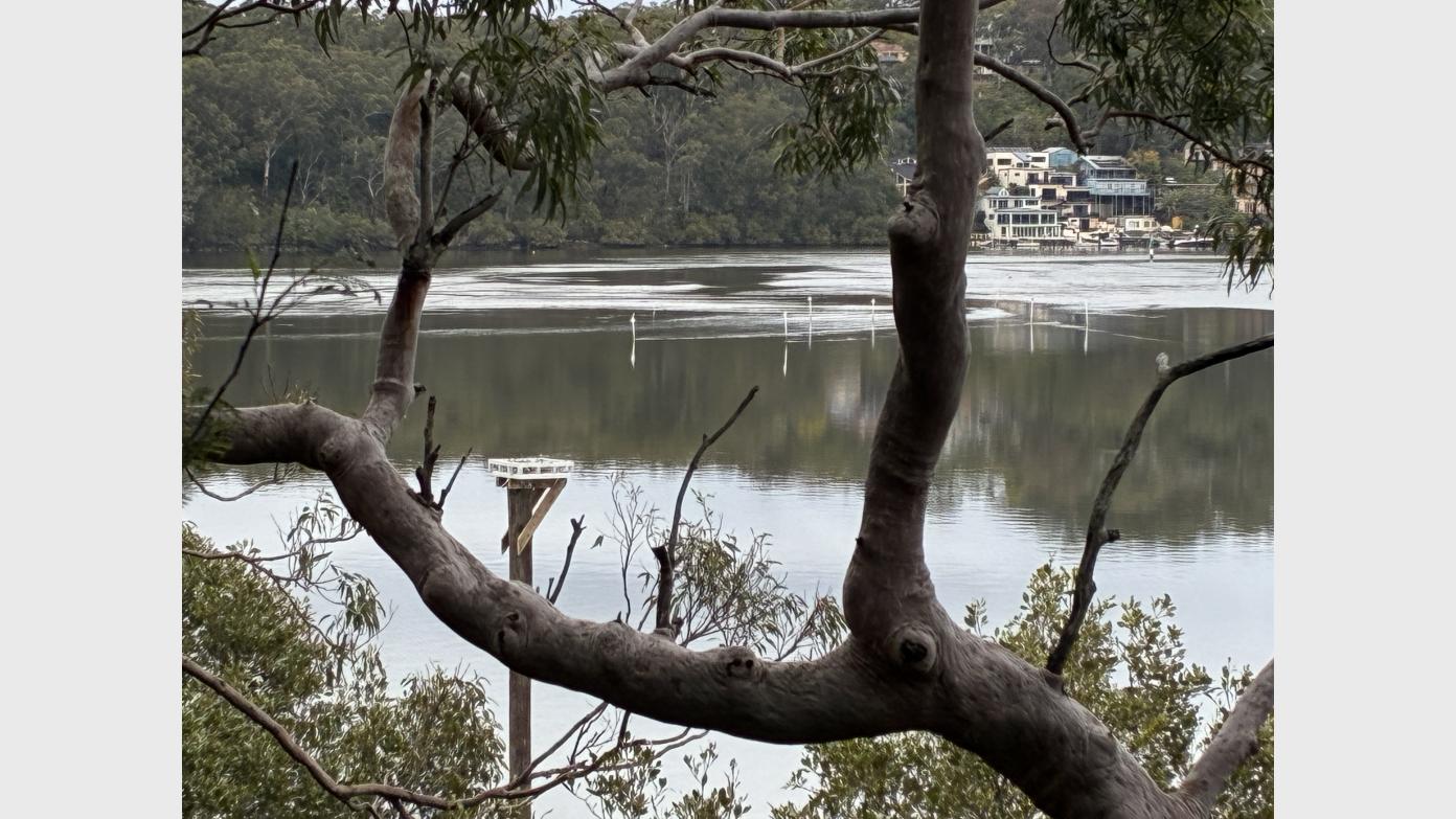 feature image for OATLEY PARK (Grade 2/ Grade 3)