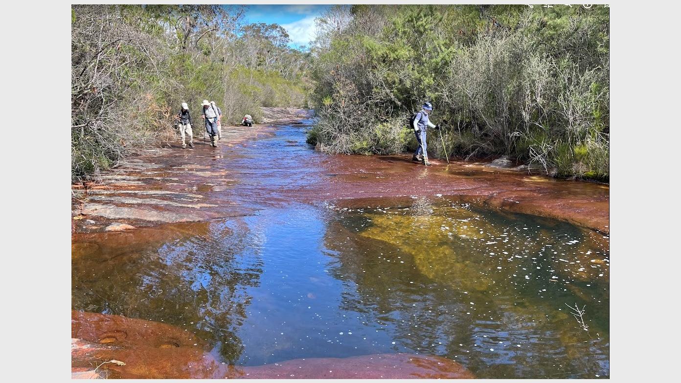 feature image for HEATHCOTE NP (Grade 4): Waterfall - Myuna Creek - Kingfisher Creek Loop