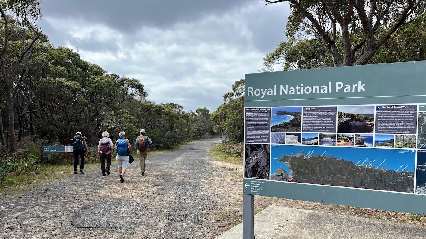 feature image for ROYAL NP (Grade 3): Bundeena – Old Coast Track loop