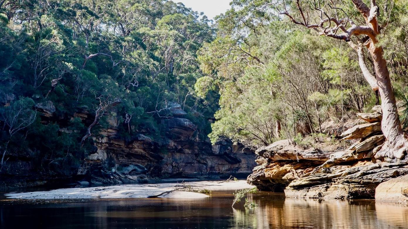 feature image for ROYAL NP (Grade 4) - South West Arm Wading and Winifred Falls