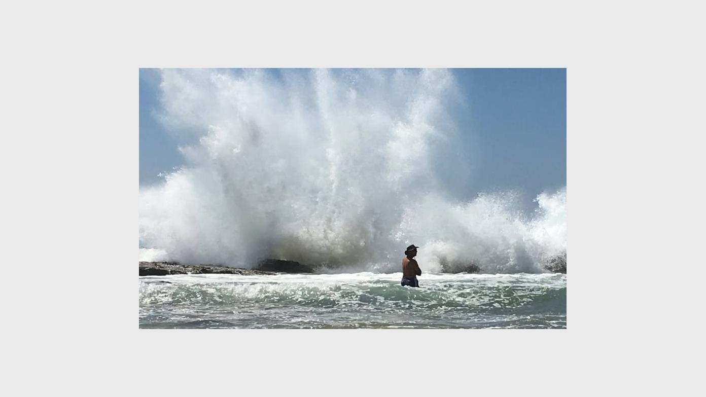 feature image for BEACHES OF ILLAWARRA  (Grade 3)